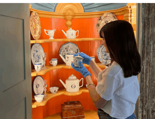 WDS Hosts Trinity College Interns to Digitize Collection